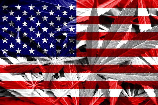 At Least 8 States Will Have Marijuana on the Ballot in November