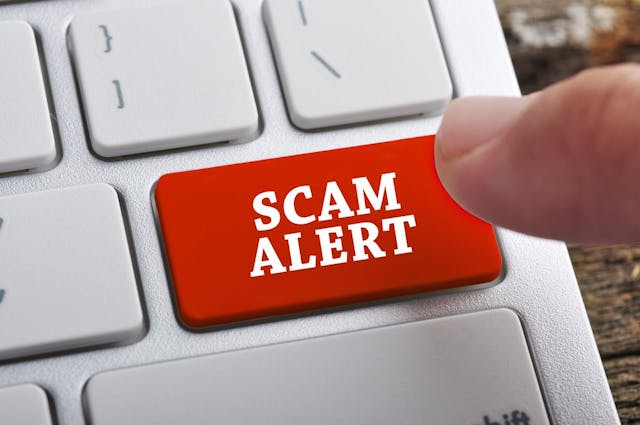 Better Business Bureau Warns: Don't Fall for Internet Vehicle Scams