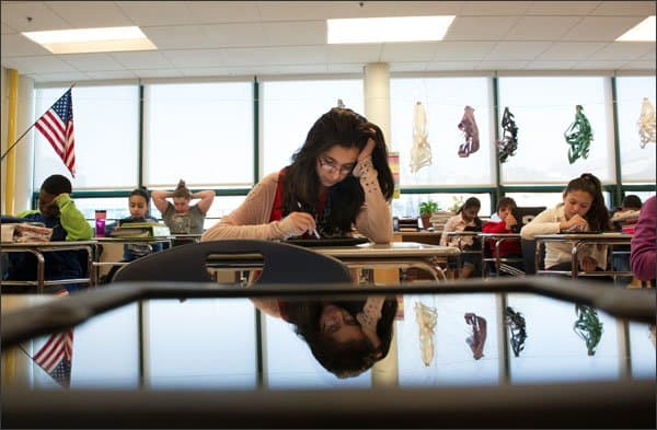 Common Core and Bureaucracy Challenge Public Education