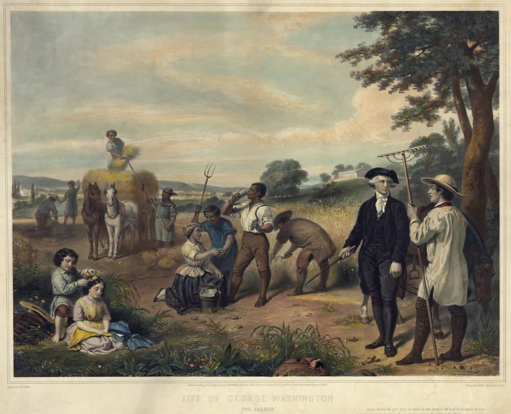 image article