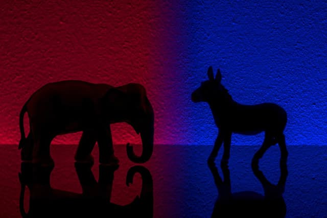 Not Happy with the 2016 Election Results? Blame Partisan Politics