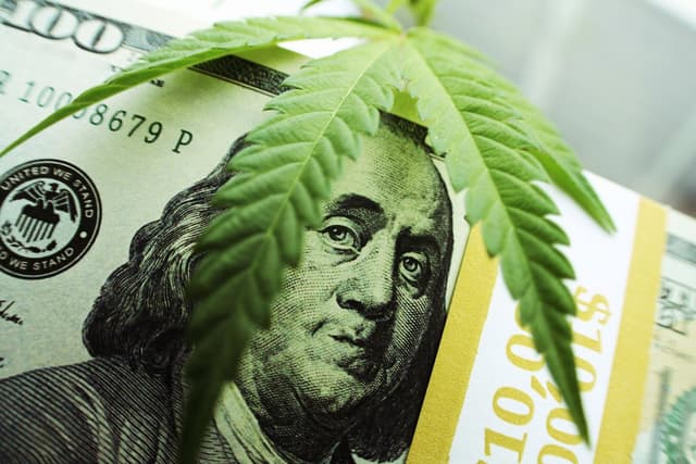 Forbes: Legal Marijuana Sales In US Bigger Than Dot-Com Boom