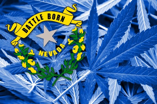 Cash Crop: NV Projected to Raise $120 Million In Marijuana Tax Revenue