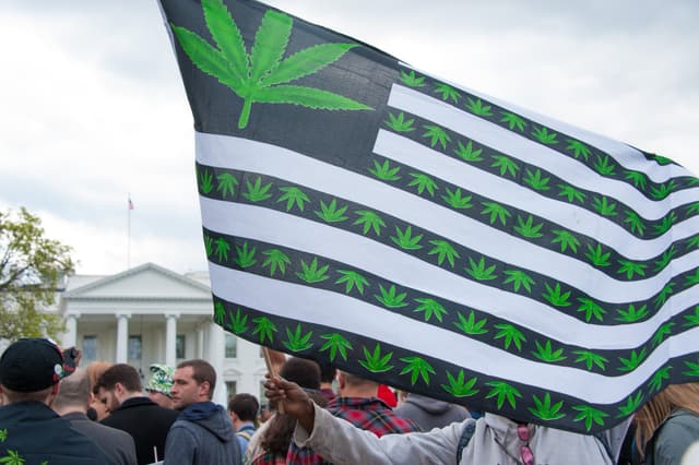 Two in Three Americans Now Support Legalizing Marijuana