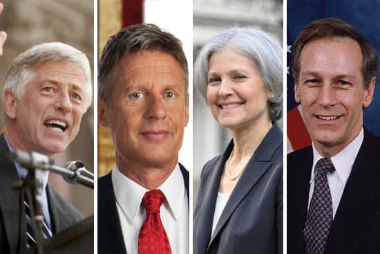 How Did Third Party Candidates Perform in the Election?