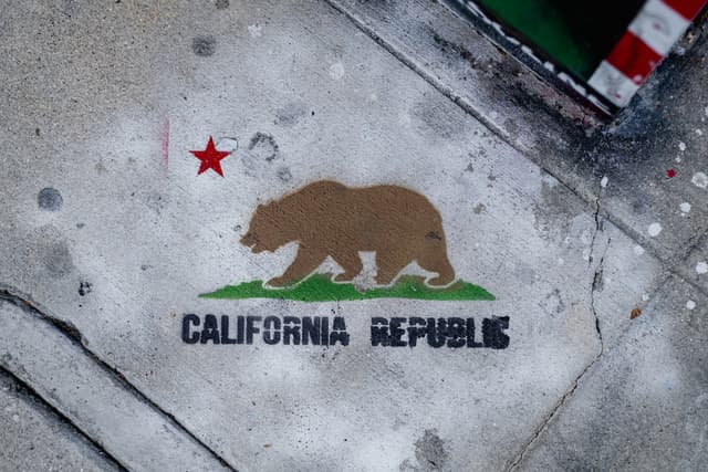 Navigating the Maze: The 2024 California Presidential Primaries and Certified Candidates