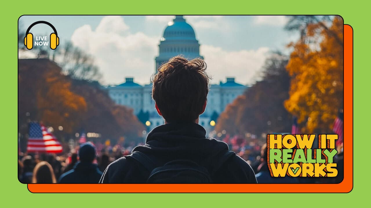 Person looking at a crowd in front of the Capitol Building. 