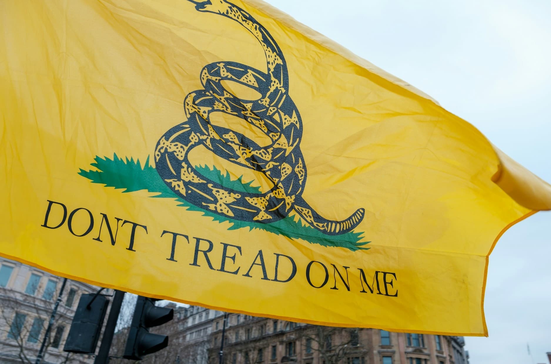 Dont tread on me flag. 
