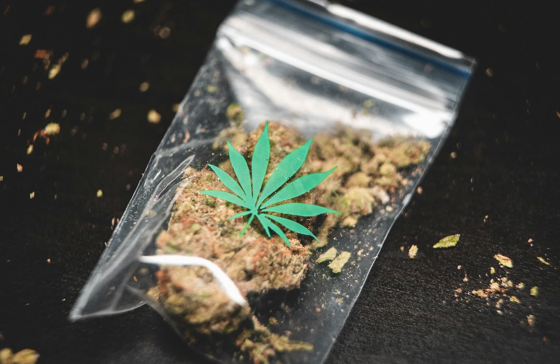 cannabis inside a plastic bag with marijuana symbol on it. 