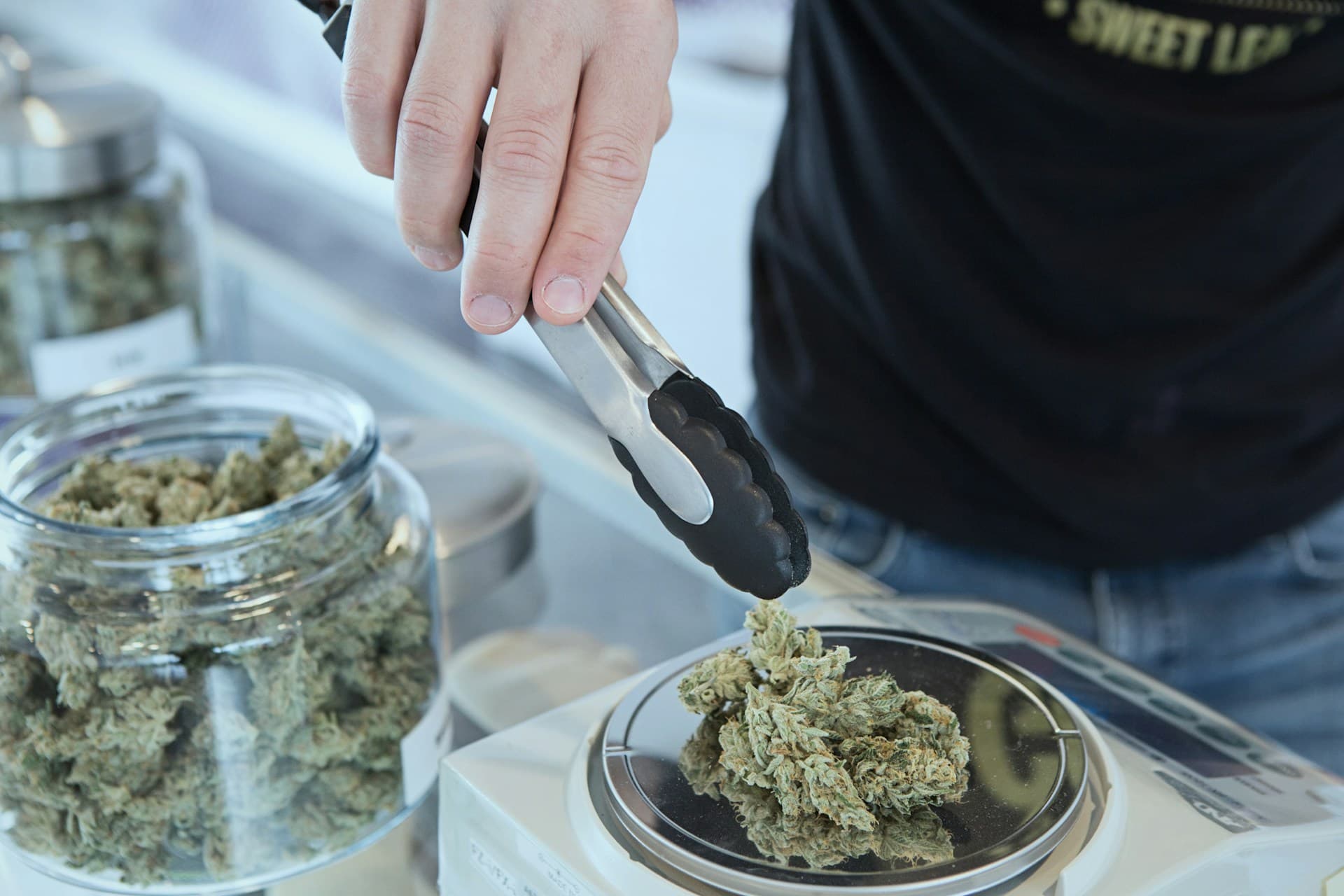 Person handling cannabis in shop.