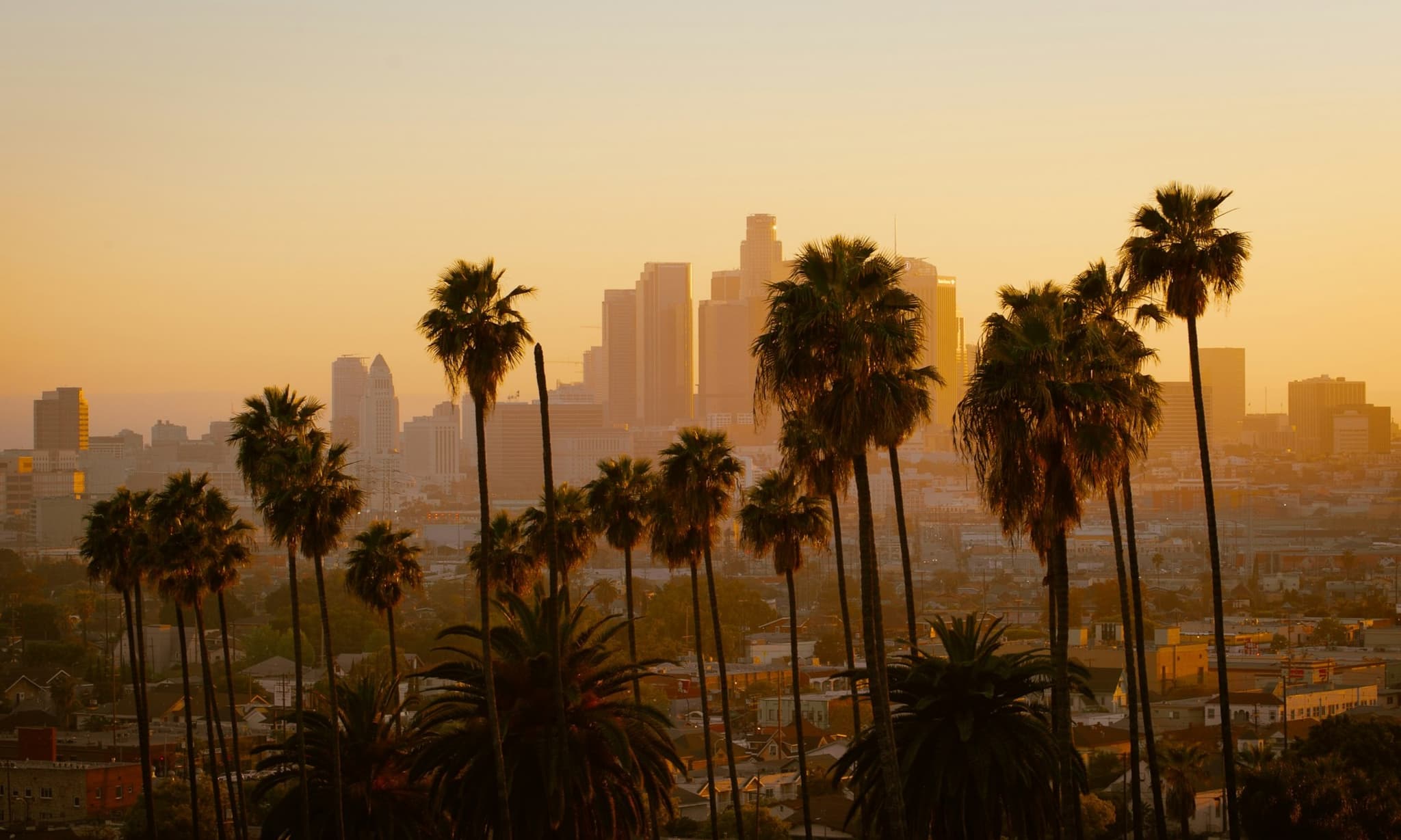 Downtown LA. 