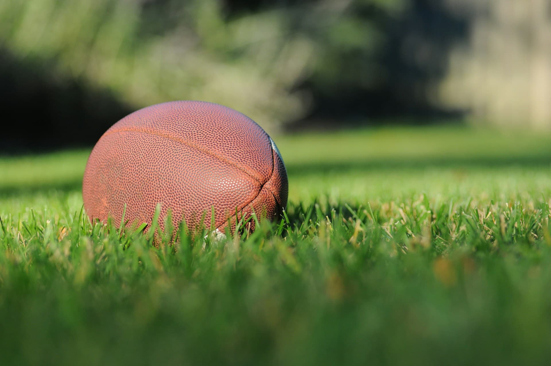 Football in grass. 