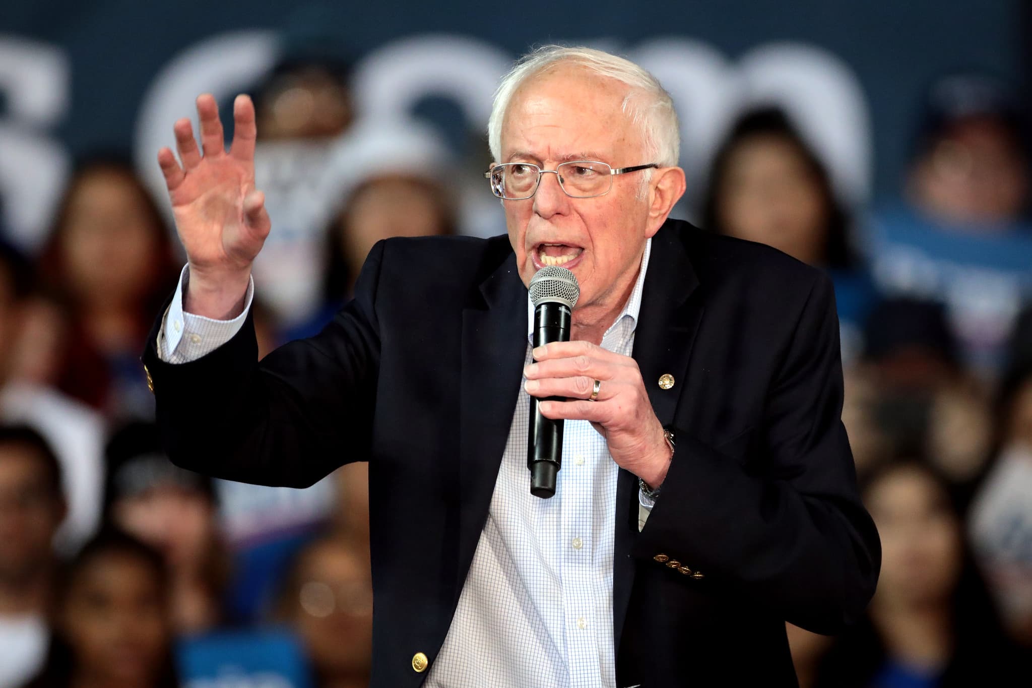 bernie sanders