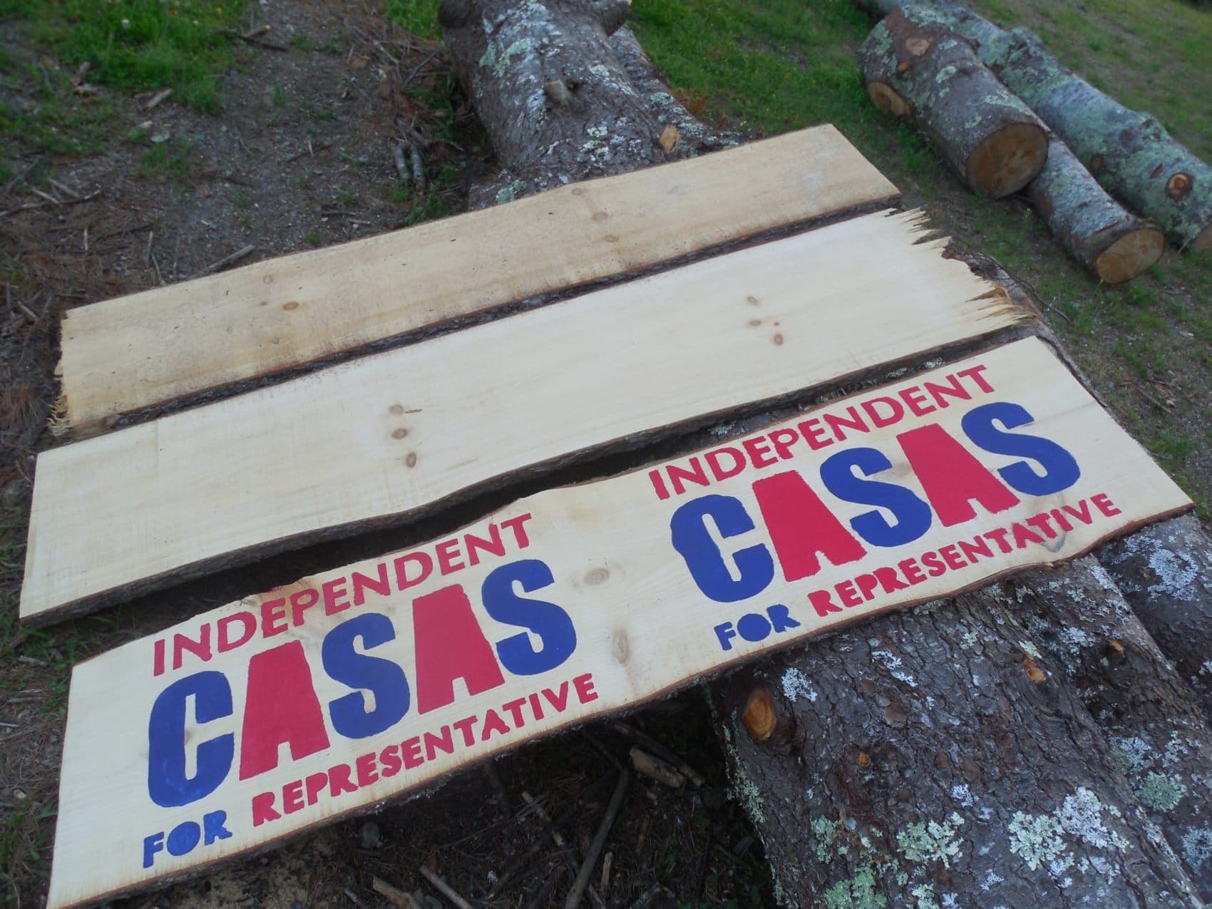 Keep the Fight Alive: Independents Can Beat the Parties