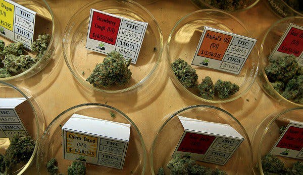 Medical Marijuana Shops Still At Risk Despite Provision in Spending Bill