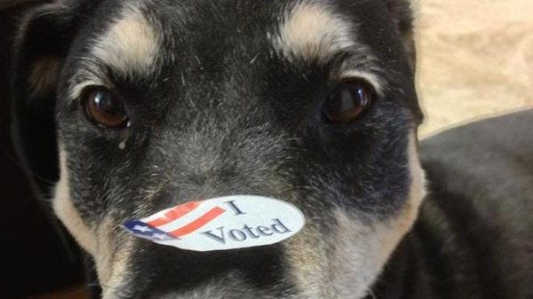 #ICYMI: A Roundup of Nonpartisan Voting Rights News – July 24, 2015