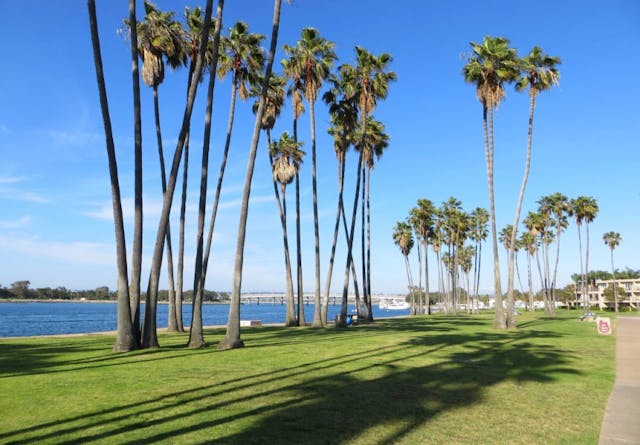 Measure J: A Change in Mission Bay Park Funding