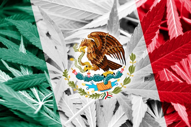 Mexico's Cultural War on Drugs Takes a Major Step Forward