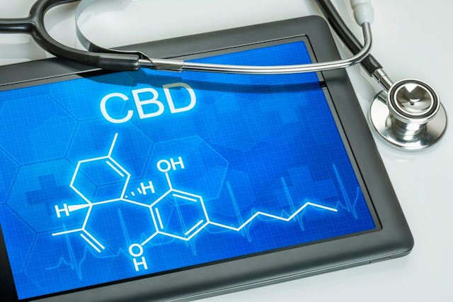 CBD: The Wide-Ranging Healing Powers of an MJ Component