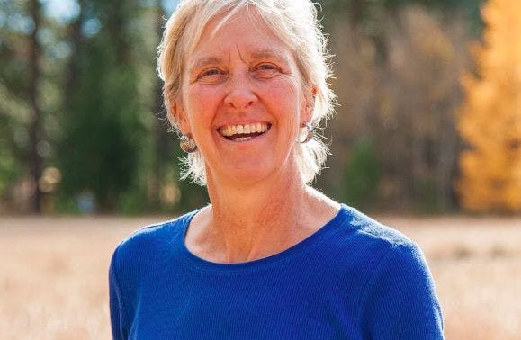 WA Independent Candidate Ann Diamond Breaks Through Top-Two
