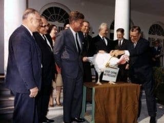 Strange Presidential Traditions: Turkey Pardoning
