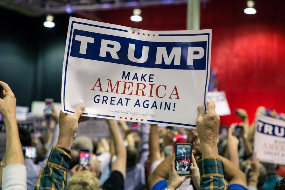 Father of Modern Polling: Trump's Electoral Upset a Revolt against Establishment
