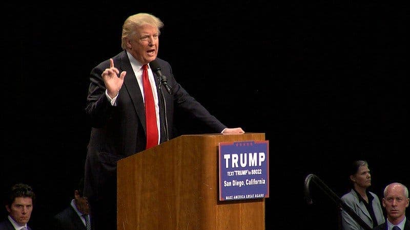 Unlikely Bedfellows: What a Sanders Supporter Learned from a Donald Trump Rally